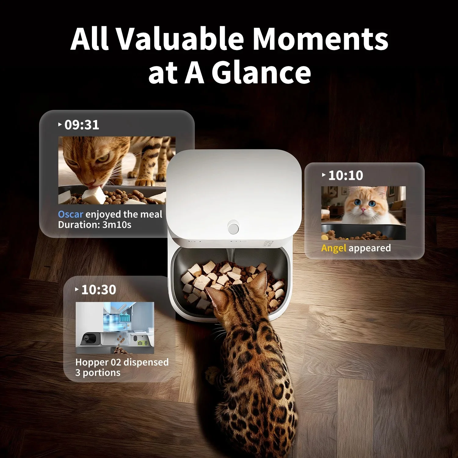 YumShare Dual-hopper 2 Automatic Feeder with Camera -EU plug - Image 4