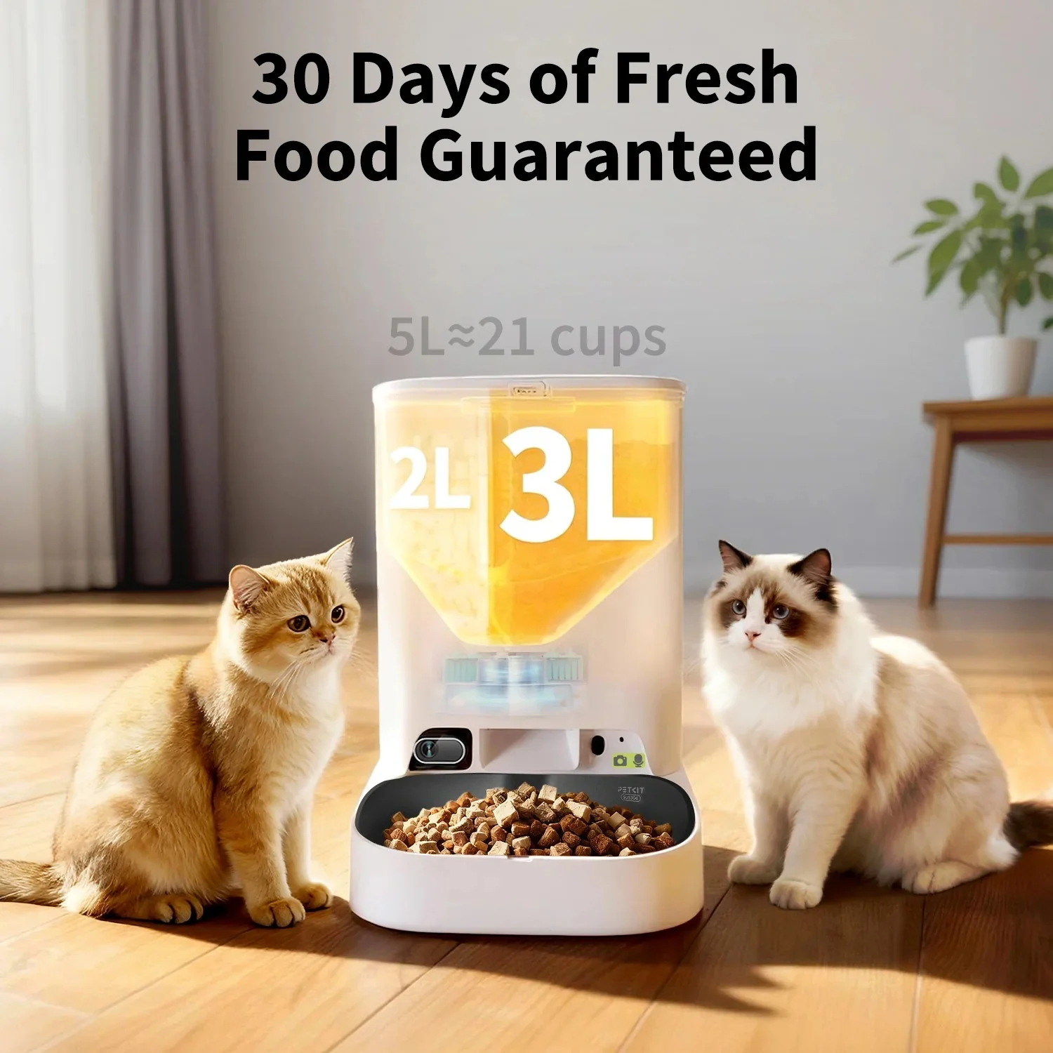 YumShare Dual-hopper 2 Automatic Feeder with Camera -EU plug - Image 7